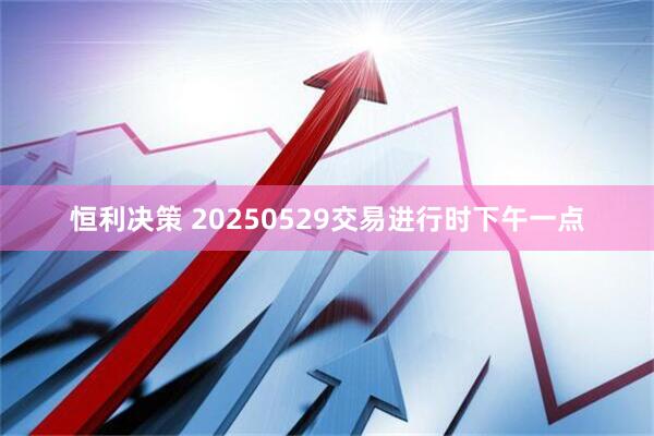 恒利决策 20250529交易进行时下午一点